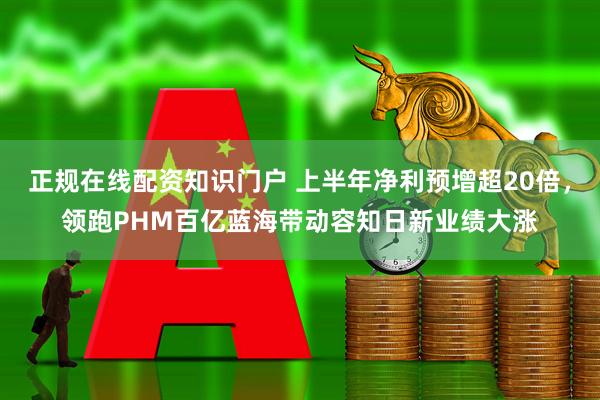 正规在线配资知识门户 上半年净利预增超20倍，领跑PHM百亿蓝海带动容知日新业绩大涨