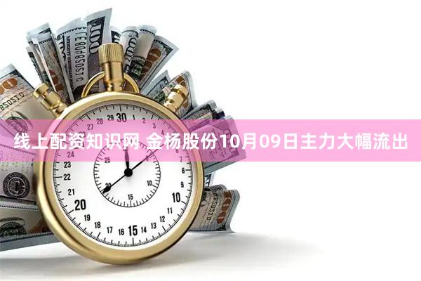 线上配资知识网 金杨股份10月09日主力大幅流出